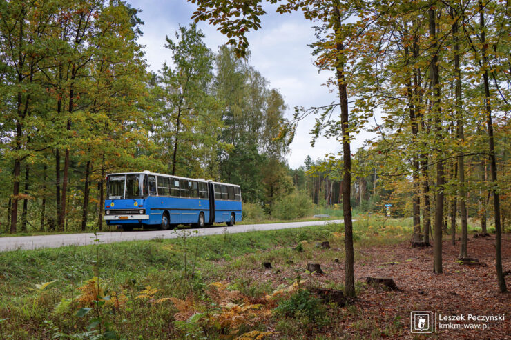 Niebieski Ikarus 280.02 podczas postoju przy lesie w rejonie Mogielnicy