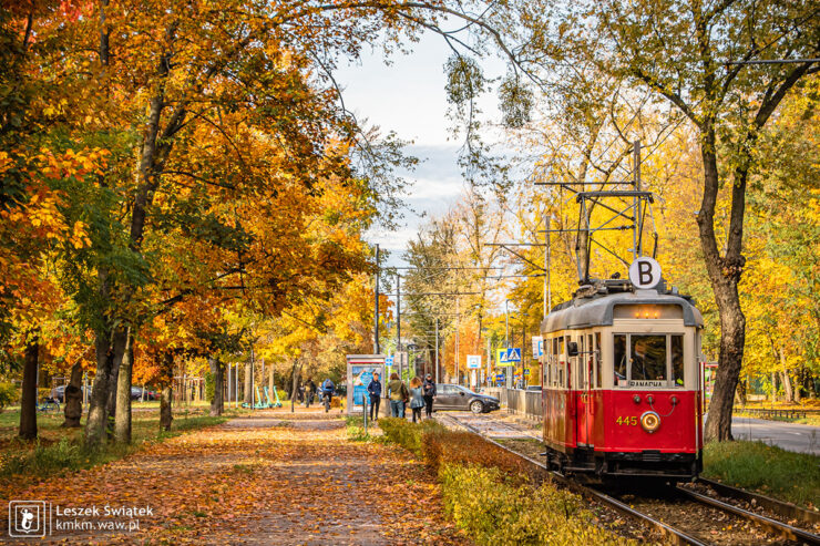 Berlinka kąpiąca się w jesiennych kolorach wzdłuż ul. Kaliskiego